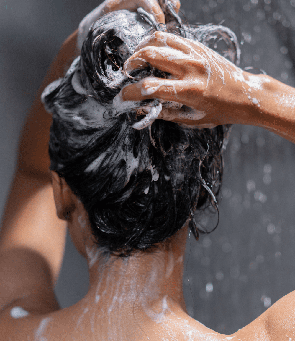 Private Label Shampoo Start Your Own Custom Hair Care Line Pravada