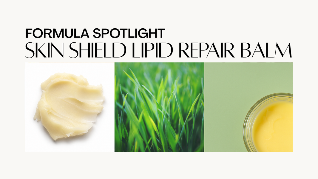 Introducing the Skin Shield Lipid Repair Balm: A Modern Tallow Balm for Dry, Compromised Skin