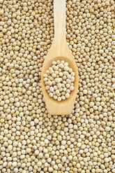 WHY WE LOVE PHOSPHOLIPIDS!