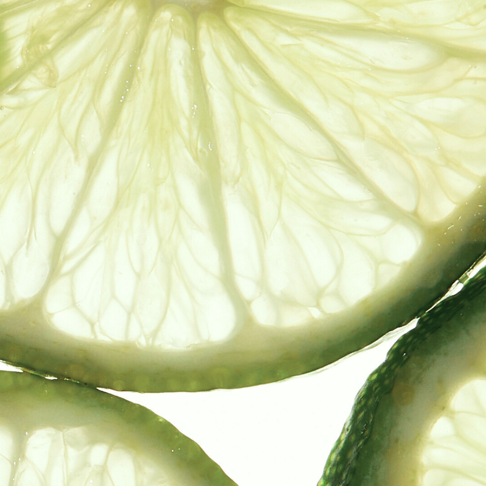 Fresh & Citrus
