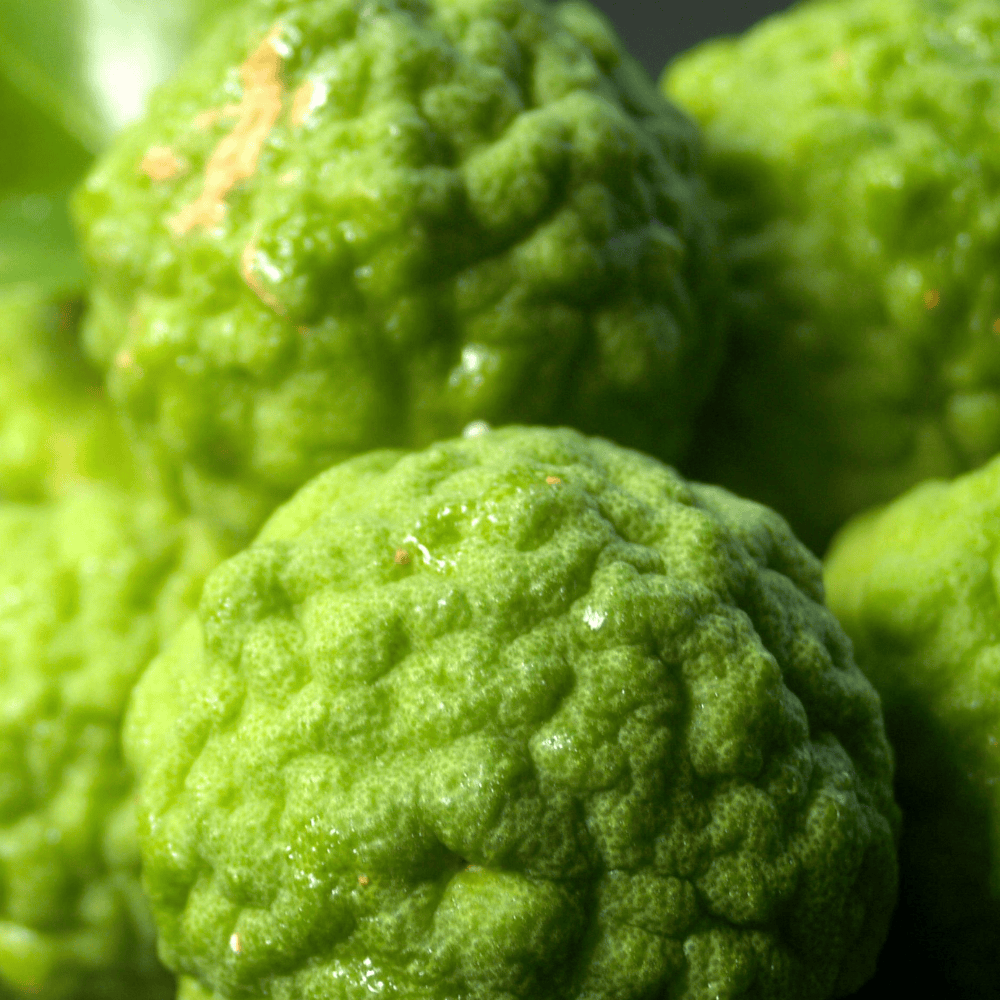 Pravada private Label Bergamot Essential Oil - Samples