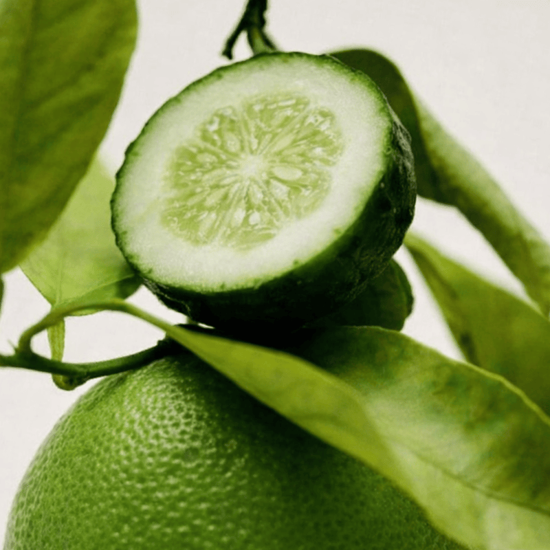 Pravada Private Label Cucumber Tonic