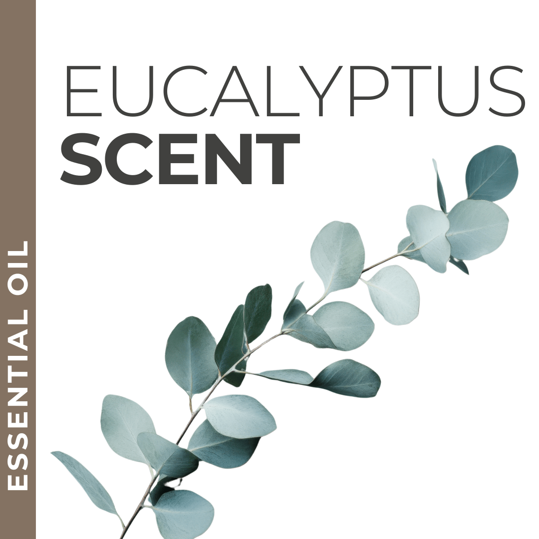 Pravada private Label Eucalyptus Essential Oil - Samples