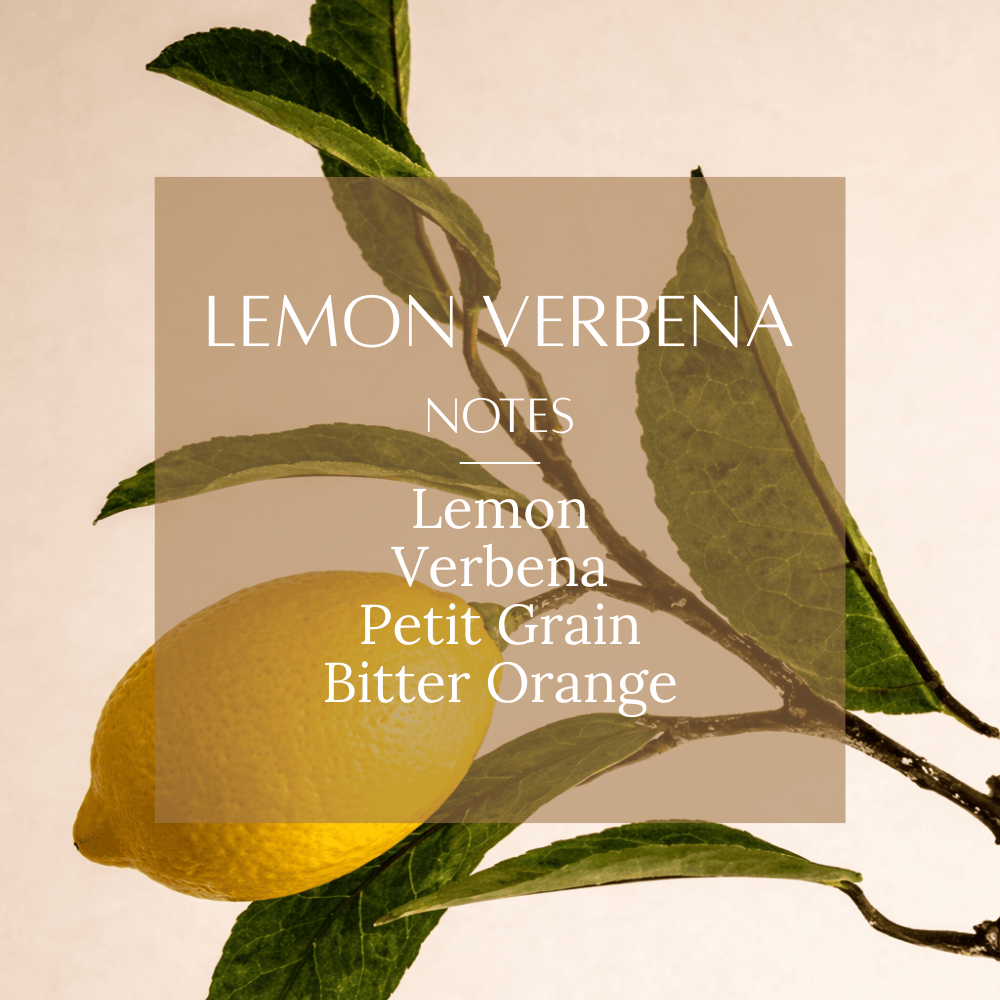 Pravada Private Label Fresh & Citrus Fragrance Bundle