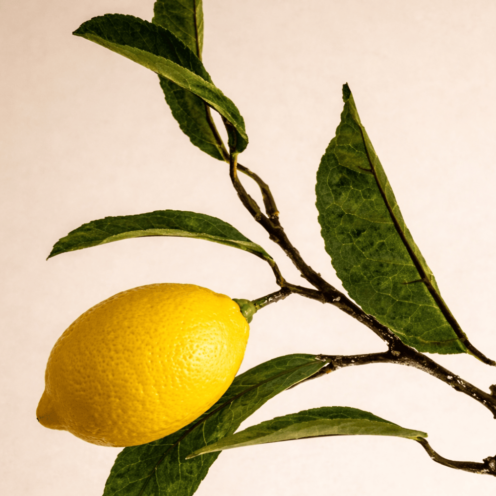 Pravada Private Label Lemon Verbena