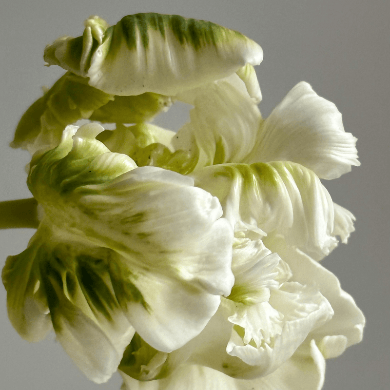 Pravada Private Label Neroli Basil