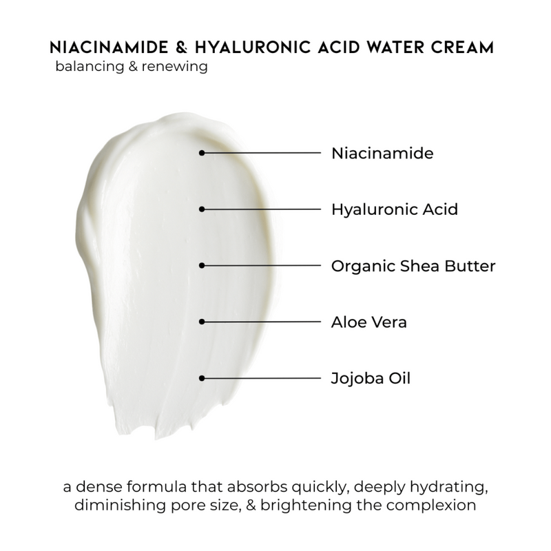 Pravada private Label Niacinamide & Hyaluronic Acid Water Cream Formulation Breakdown