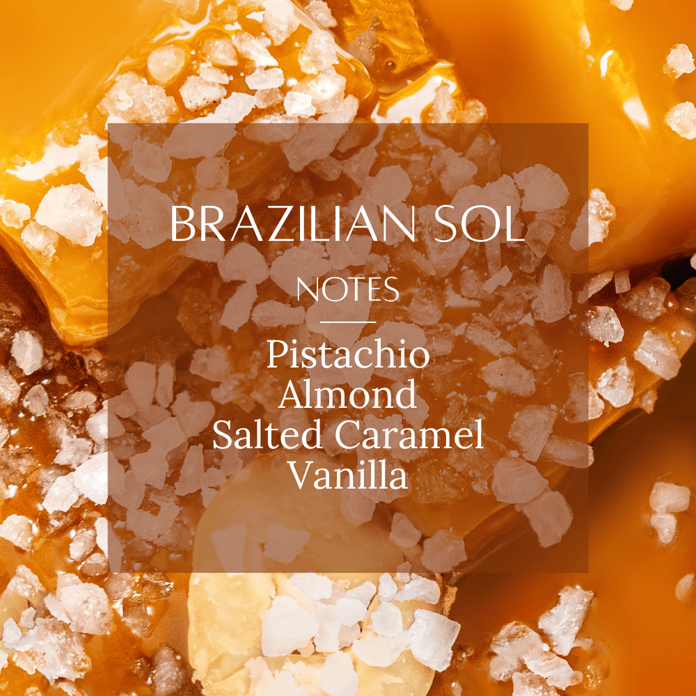 Pravada Private Label Rich & Warm Fragrance Bundle