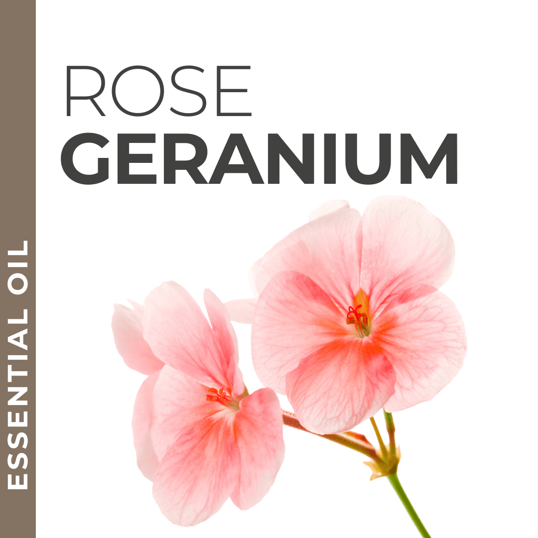 Pravada private Label Rose Geranium Essential Oil - Samples
