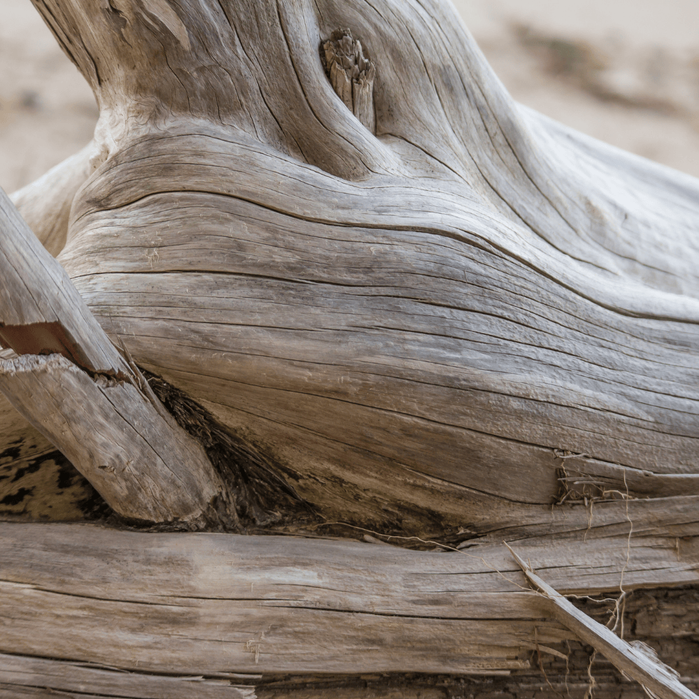 Pravada private Label Sandalwood Eucalyptus