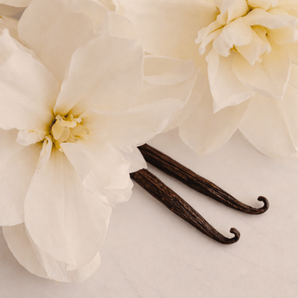 Pravada Private Label Vanilla Velvet