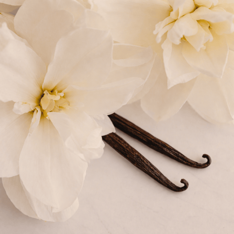 Pravada Private Label Vanilla Velvet