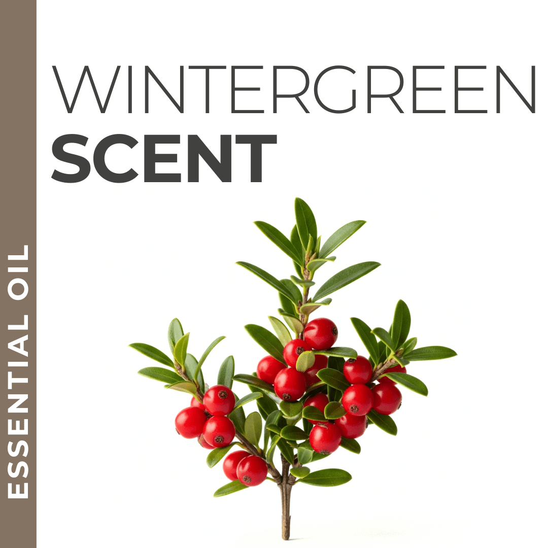 Pravada private Label Wintergreen Essential Oil - Samples